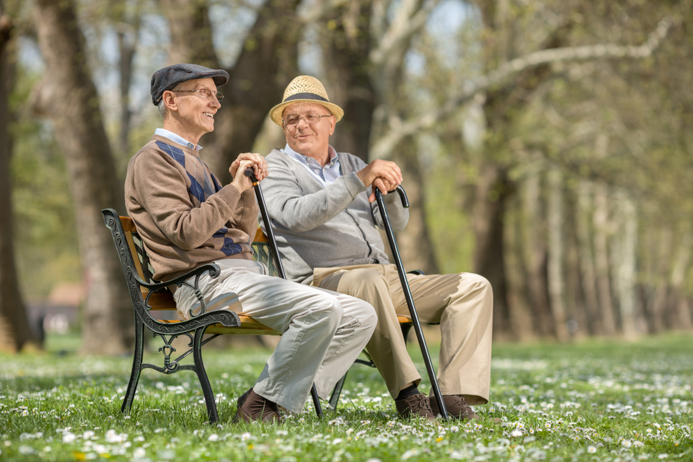 Two older men sitting together in a field in a rural area.